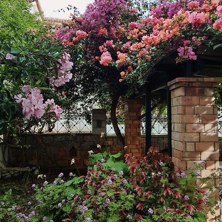 Veneto'S Garden Apartment Kardhamili Luaran gambar